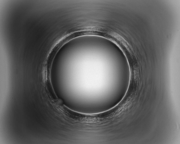 X0000097861069200803211250