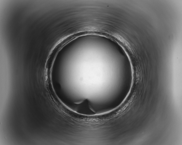 X0000097861070200803211250