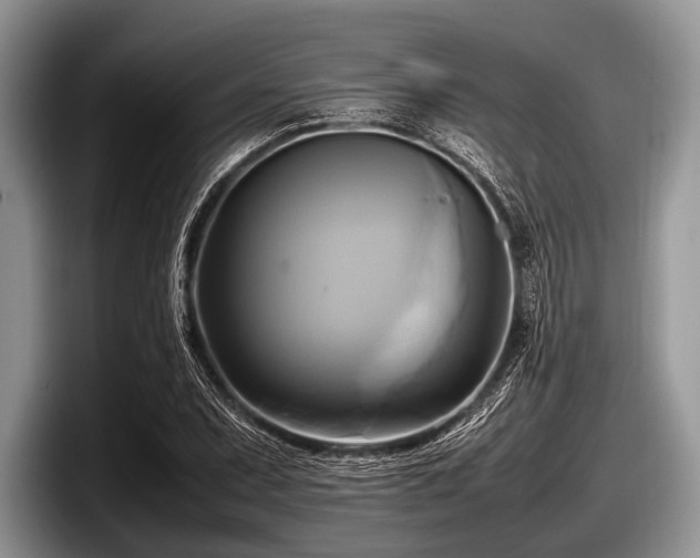 X0000097861071200803211250