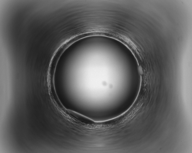 X0000097861072200803211249