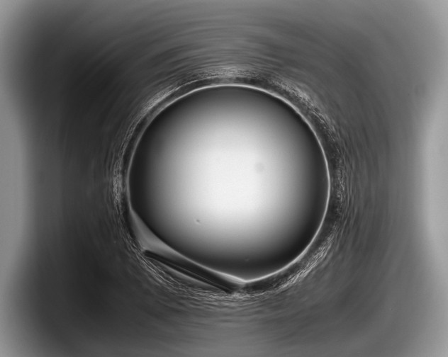 X0000097861073200803211249