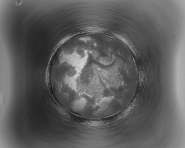 X0000097861074200803211249