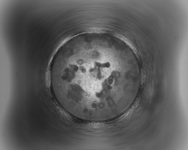 X0000097861075200803211249