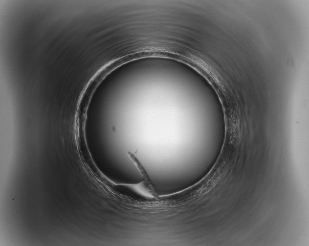 X0000097861076200803211249