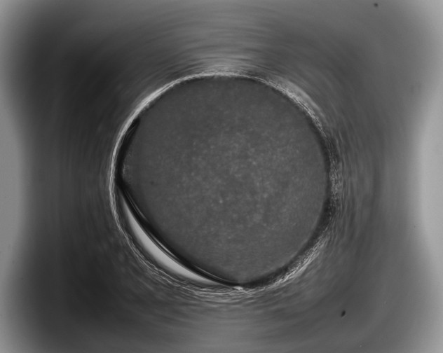 X0000097861077200803211249