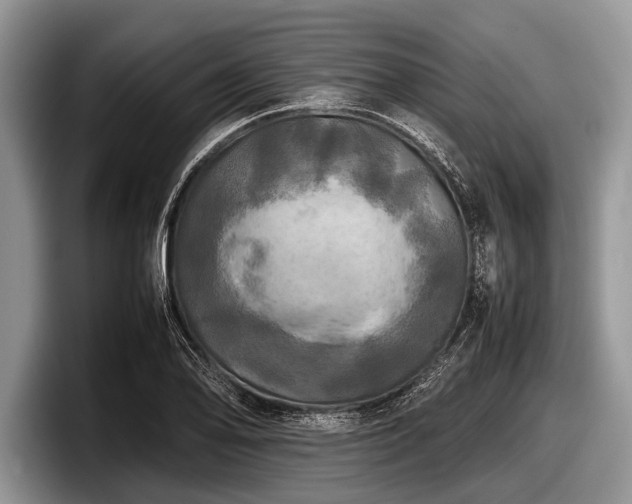 X0000097861078200803211249