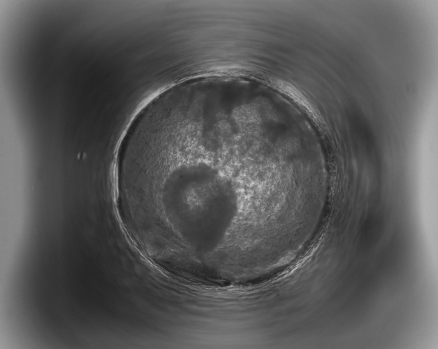 X0000097861079200803211249