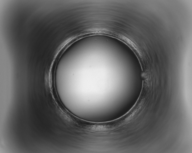 X0000097861082200803211249