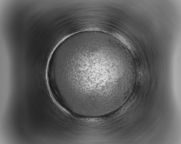 X0000097861084200803211249