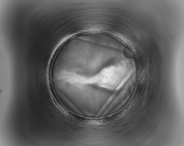 X0000097861086200803211249