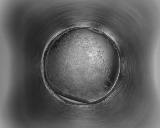 X0000097861088200803211249