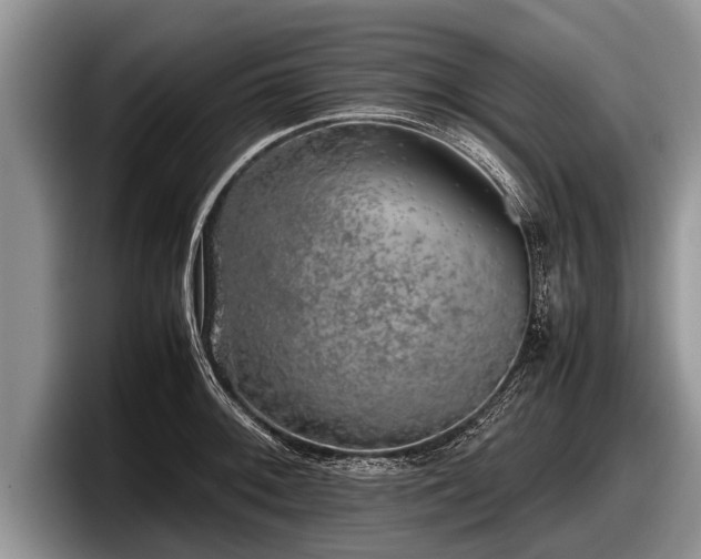 X0000097861092200803211249