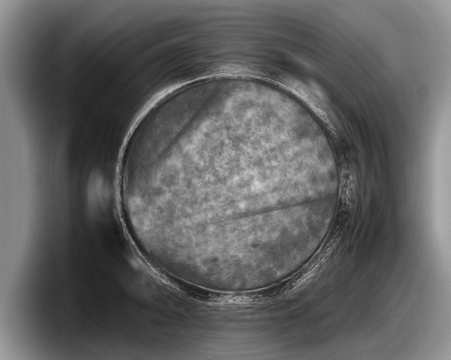 X0000097861094200803211249