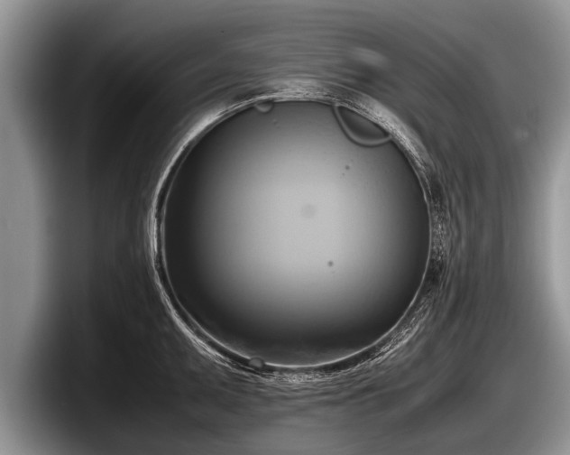 X0000097861095200803211249