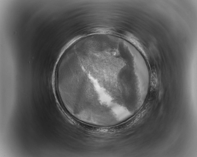 X0000097861098200803211249