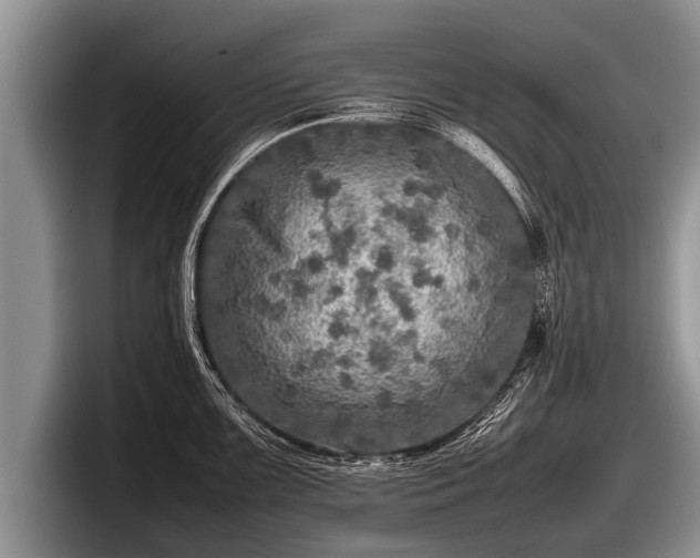 X0000097861099200803211249