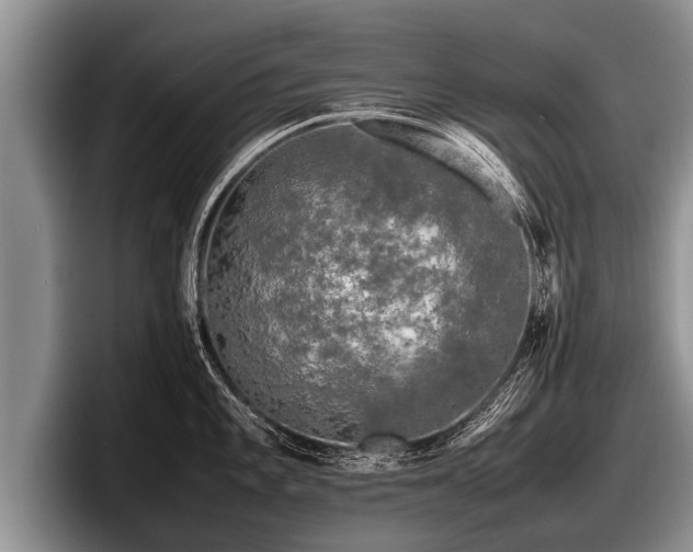 X0000097861101200803211249