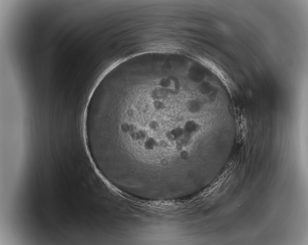 X0000097861103200803211249