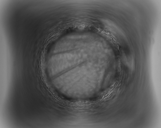 X0000097861105200803211248