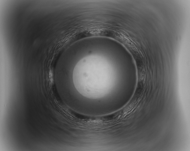 X0000097861106200803211248