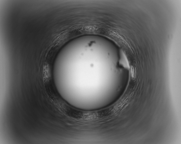 X0000097861107200803211248