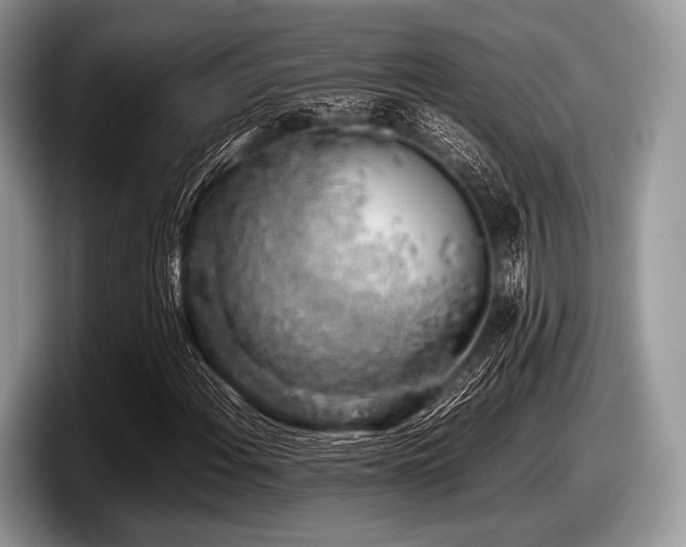 X0000097861108200803211249