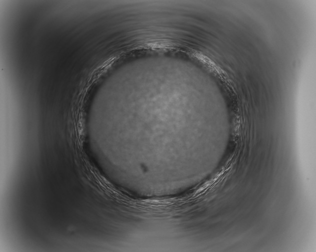 X0000097861110200803211249