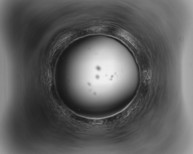 X0000097861111200803211249