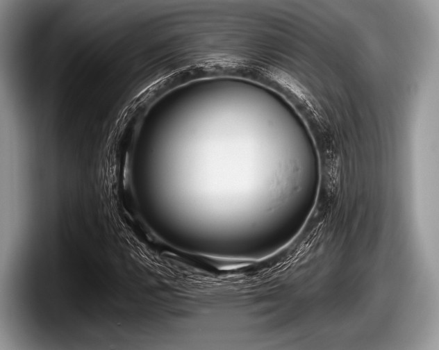 X0000097861112200803211249