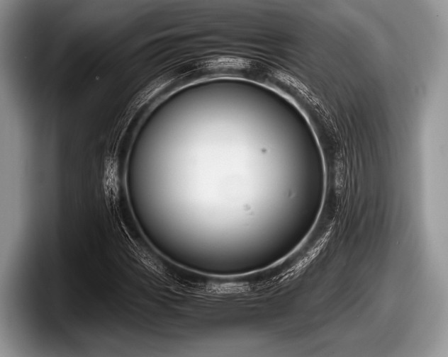 X0000097861113200803211249