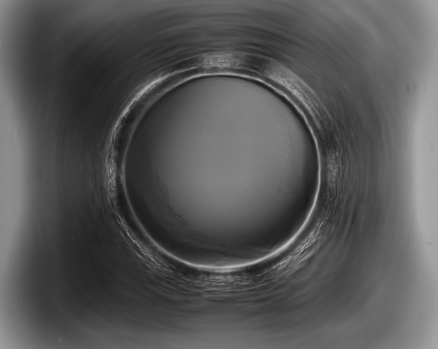 X0000097861115200803211249