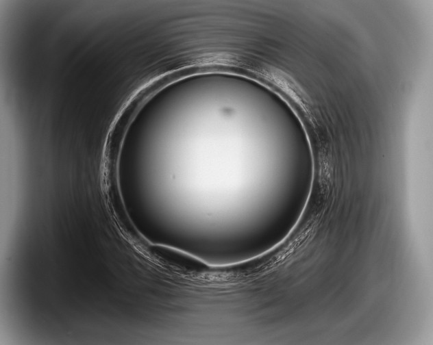 X0000097861116200803211249