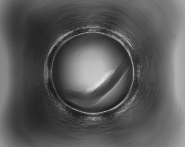 X0000097861117200803211249