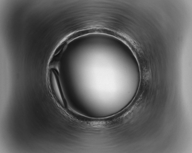 X0000097861118200803211249