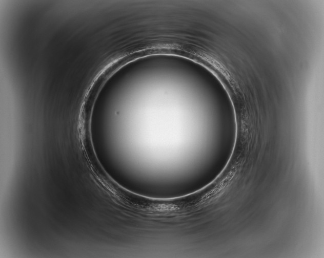 X0000097861119200803211249