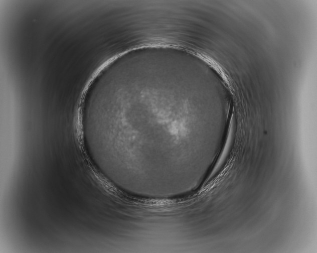 X0000097861120200803211249