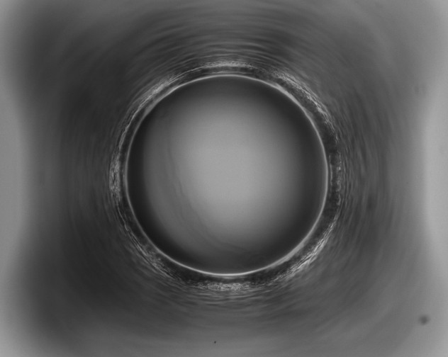 X0000097861121200803211249