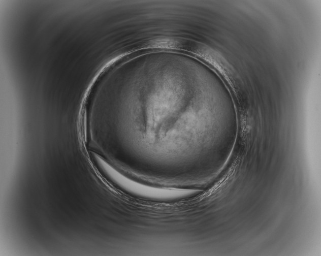 X0000097861123200803211249