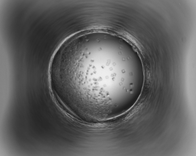 X0000097861124200803211249