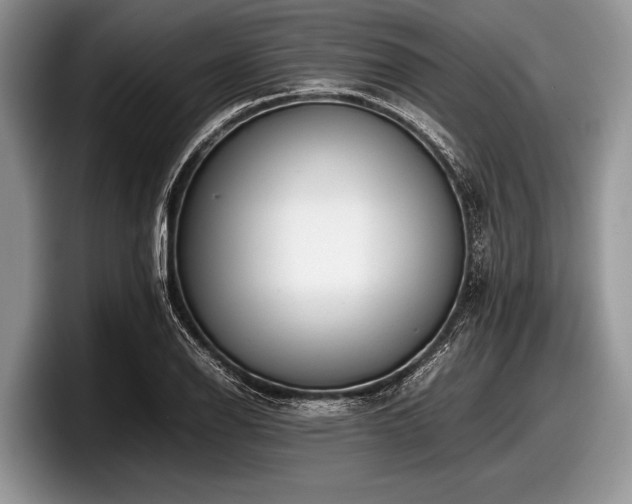 X0000097861126200803211249