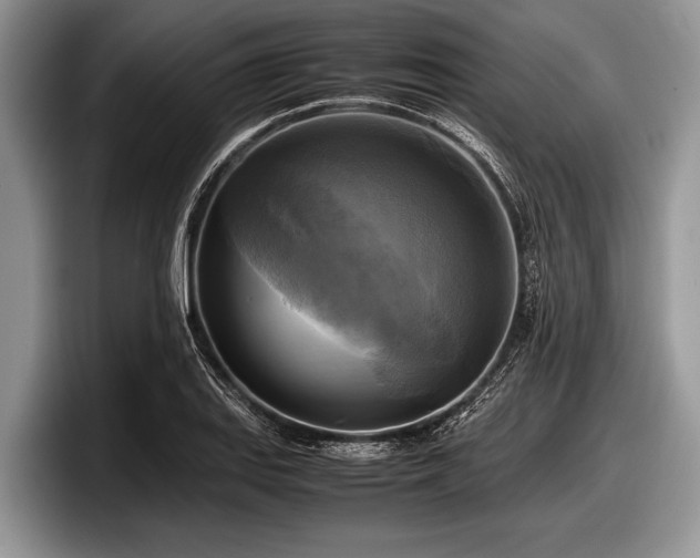 X0000097861127200803211249