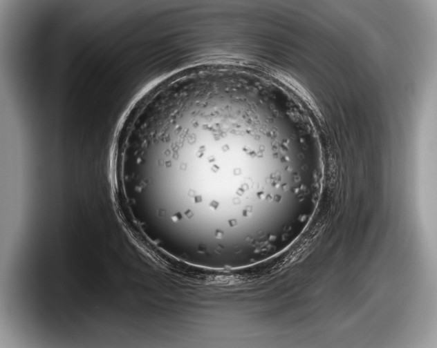 X0000097861128200803211249