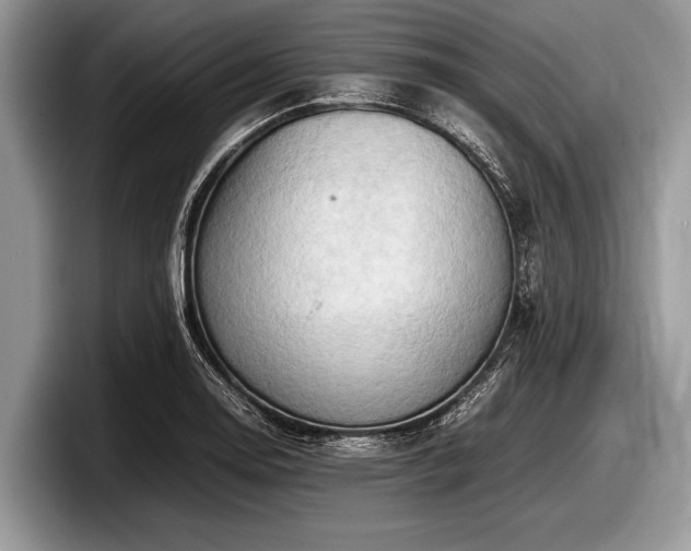 X0000097861130200803211249