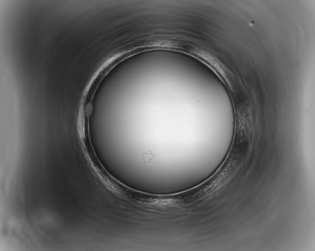 X0000097861131200803211249