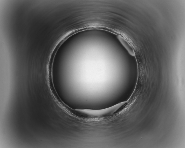 X0000097861134200803211249