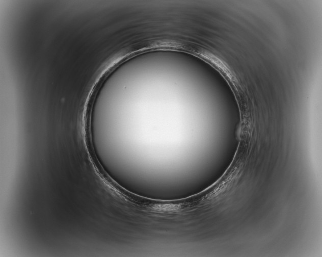 X0000097861135200803211249