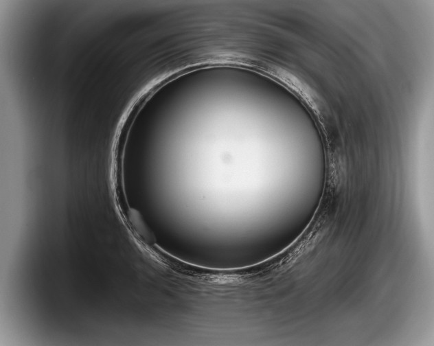 X0000097861136200803211249