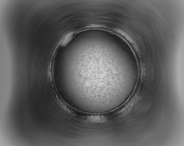 X0000097861137200803211249