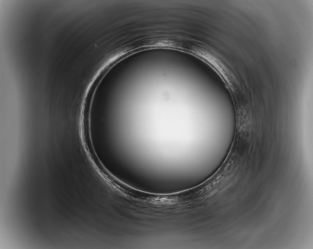 X0000097861139200803211249