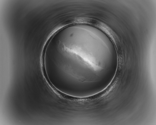 X0000097861141200803211249